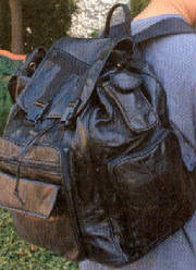 backpack5.jpg